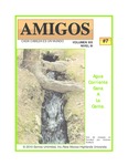 Revista digital AMIGOS - Vol 19, número 7 by Aspectos Culturales and Semos Unlimited