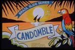 Brazil Slide Series: Collection Candomble, Slide No. 0001. by Herbert Knup, Jon M. Tolman, and Siegfried Muhlhausser