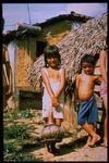 Brazil Slide Series: Collection Ethnicity And Population, Slide No. 0042. by Herbert Knup, Jon M. Tolman, and Carmen Lucia M. Azevedo