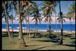 Brazil Slide Series: Collection Salvador, Bahia, Slide No. 0080. by Herbert Knup, Jon M. Tolman, and Siegfried Muhlhausser