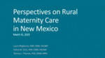 Perspectives on Rural Maternity Care in New Mexico