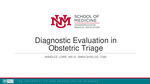 Diagnostic Evaluation of Dizziness in Obstetric Triage