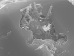 Manganese oxide crystals emerging from pit in calcite by M. Spilde and D. Northup