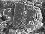 Close up of corroded cuboidal carbonate crystals by M. Spilde and D. Northup