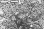 Pit with filaments in dolomite by M. Spilde and D. Northup