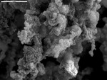Coarse filaments containing abundant svanbergite cubes and FMD by M. Spilde