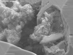 Manganese oxide in pit on calcite by M. Spilde and D. Northup