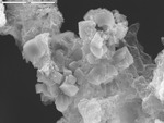 Svanbergite cubes in tissue-paper mineral by D. Northup and M. Spilde