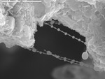 Different sized beads on a string bridging rocks by D. Northup and M. Spilde