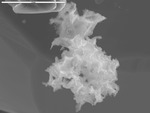 Manganese oxide crystals by M. Spilde and D. Northup