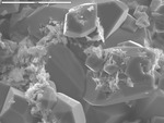 Euhedral calcite crystals with pits containing manganese oxide crystals by M. Spilde and D. Northup