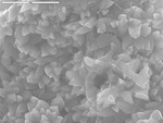 Close up of manganese oxide crystals by M. Spilde and D. Northup