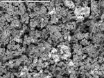 BSE overview of corroded and pitted crystals by UNM Microbe/SEM Facility