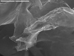 Manganese oxide filaments by M. Spilde