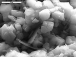 Euhedral crystals of dolomite with possible clay coating by M. Spilde and D. Northup
