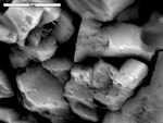 BSE of corroded dolomite crystals by M. Spilde and D. Northup