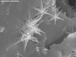 Close up of stacked star shaped manganese oxide by M. Spilde and P. Boston