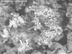 BSE of corroded crystals by UNM Microbe/SEM Facility