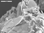 Platy clay crystals by M. Spilde and D. Northup