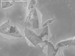 Cracked smooth film revealing spheroids deposits