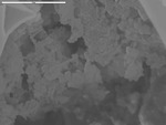 Irregular surface under cracked film showing mineral coated deposits