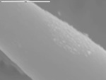 Underside of film showing irregular deposits