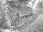 Close up of a tear in the film, showing mineral structure by M. Spilde