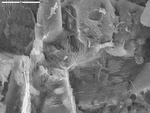 Filament on mineral striations by M. Spilde