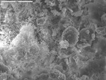 Overview of filament mass with cracked film
