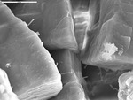 Filaments on sticking out from surface of crystals