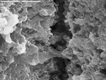 Detail of crack in Mg coating by M. Spilde, L. Melim, and D. Northup
