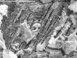 More etched calcite with film by M. Spilde, L. Melim, and D. Northup