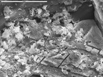 Overview of insoluble debris on etched calcite by M. Spilde, L. Melim, and D. Northup