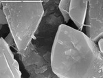 Detail of gypsum with filaments by M. Spilde, D. Northup, and L. Melim