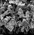 Another view of resistant coating (<1 m) on euhedral dogtooth crystals by George Braybrook, Leslie Melim, and Brian Jones