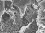 Area of filaments, plateaus are polished epoxy by D. Northup and Leslie Melim