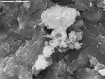 Clump of platy crystals by M. Spilde, D. Northup, and L. Melim