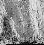 Crystallites next to dense layer: mainly the dense layer to show the nature of fracture by George Braybrook, Leslie Melim, and Brian Jones