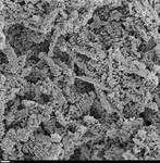 Crystallites that look like they coat microrods by George Braybrook, Leslie Melim, and Brian Jones