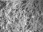 Dense mesh of fine crystals in porous layer