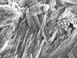 Etched calcite crystals by M. Spilde, D. Northup, and L. Melim