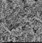 Etched looking surface of microrods by George Braybrook, Leslie Melim, and Brian Jones