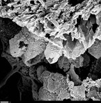 Hollow crusts with crystallites by George Braybrook, Leslie Melim, and Brian Jones