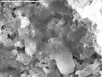 Clay and calcite mixture by D. Northup, M. Spilde, L. Melim, and R. Liescheidt
