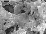 Detail of J12B-10.tif showing film, smectite by D. Northup, M. Spilde, L. Melim, and R. Liescheidt