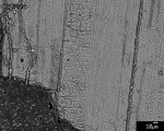 Back scatter image of coarser spar layer that does not cross-cut by M. Spilde, L. Melim, and D. Northup