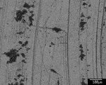 Back scatter image of fine laminae and recrystallization patch with epoxy core by M. Spilde, L. Melim, and D. Northup