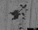 Back scatter image of recrystallization area by M. Spilde, L. Melim, and D. Northup