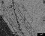 Back scatter image overview of C film with Fe spects, and epoxy-filled crack by M. Spilde, L. Melim, and D. Northup