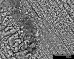 Back scatter image showing Fe grain and film and laminae